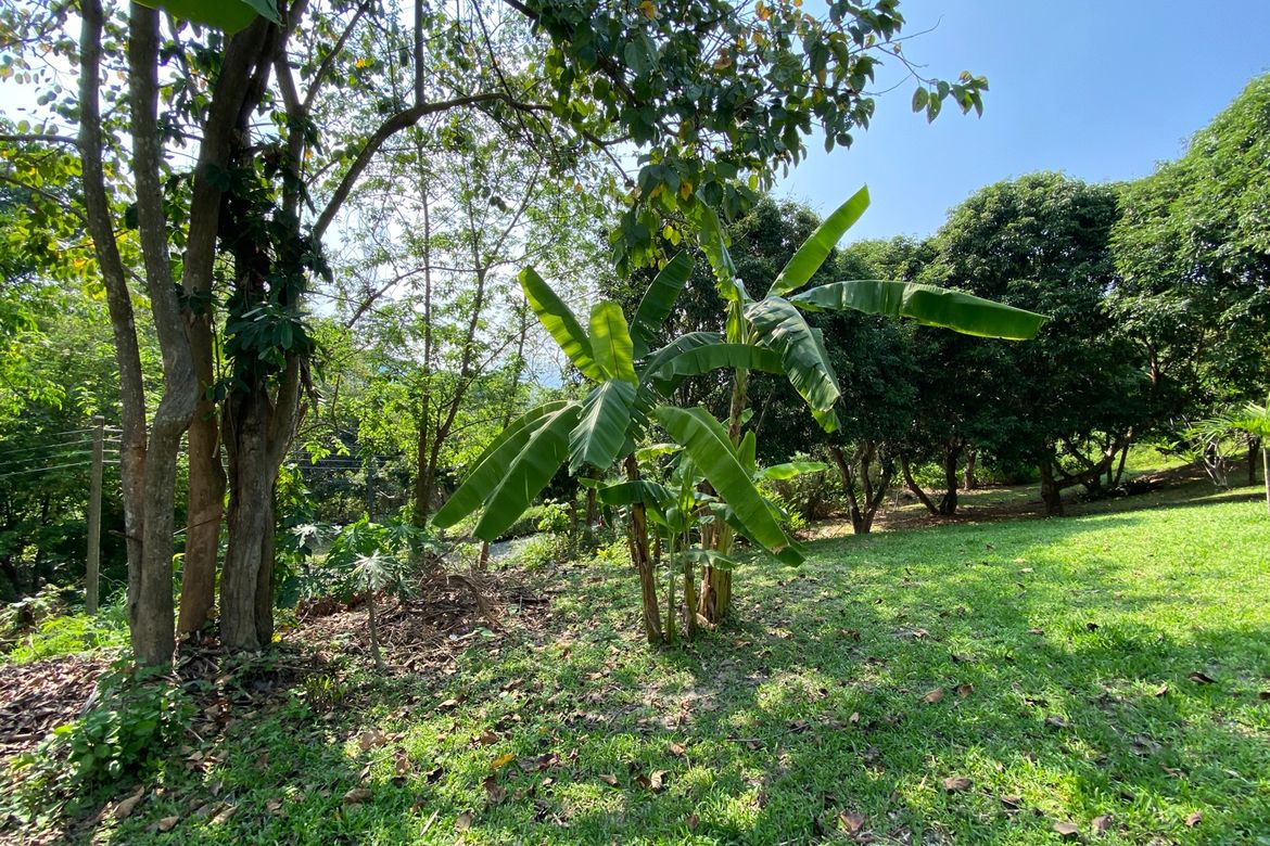 A charming one storey villa 2 bed for rent or sale in Mae Rim
