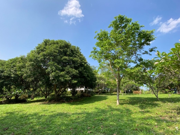 Chiang Mai-P-PHS1118