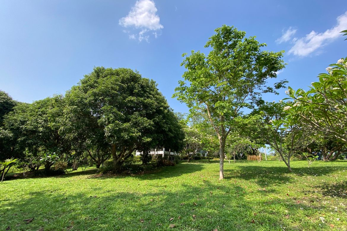 Chiang Mai-P-PHS1118