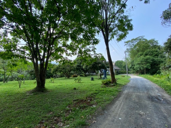 Chiang Mai-P-PHS1118