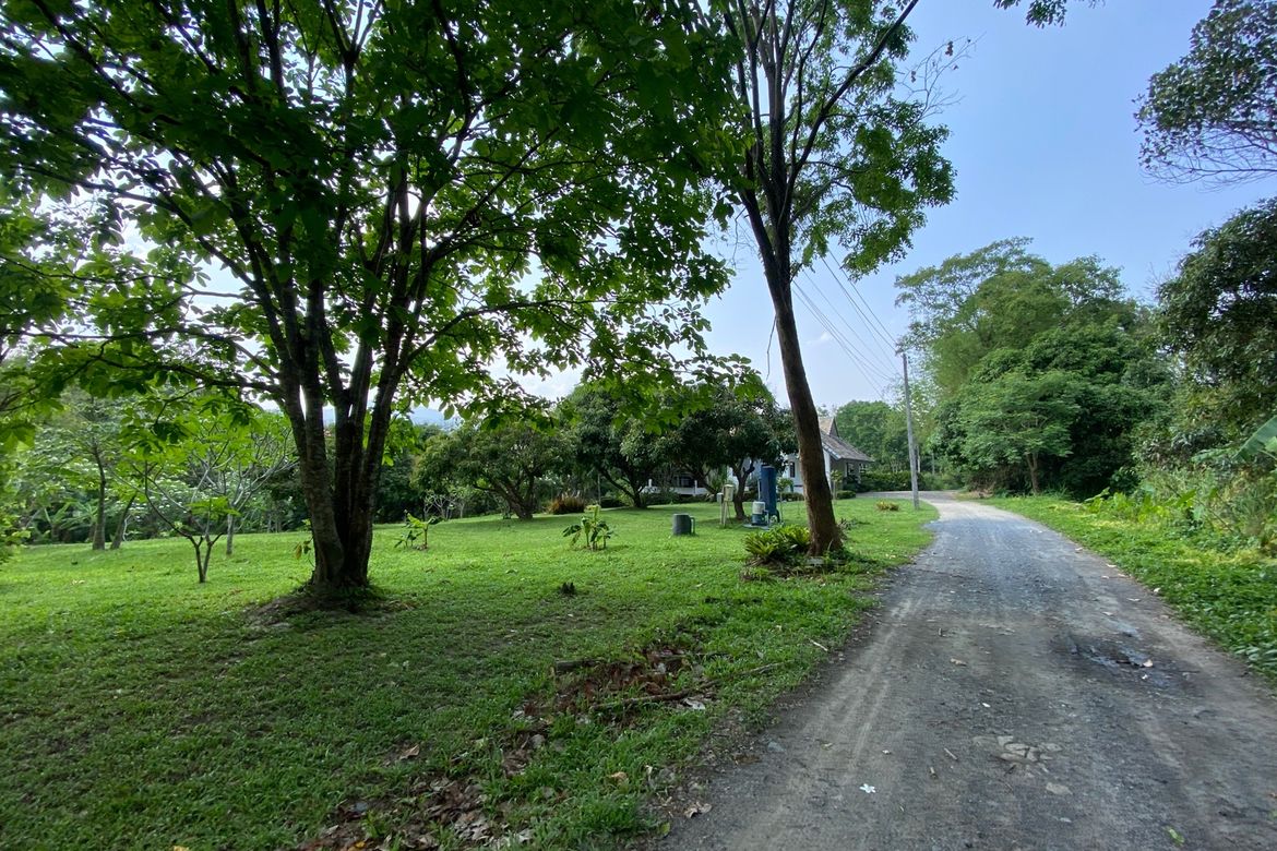 Chiang Mai-P-PHS1118