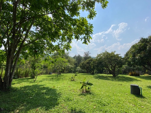 A charming one storey villa 2 bed for rent or sale in Mae Rim