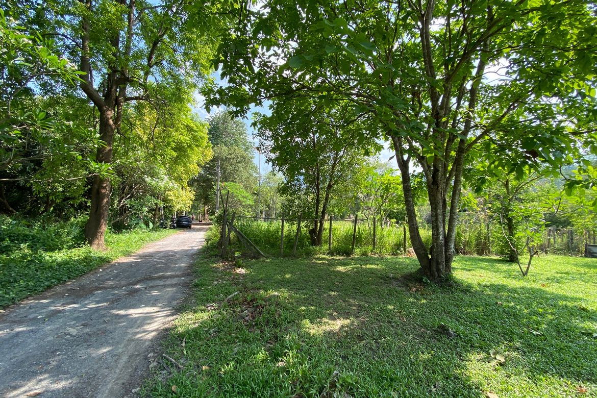 Chiang Mai-P-PHS1118