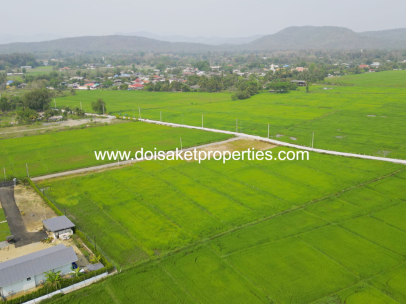 and a Peaceful Atmosphere for Sale in Pa Pong