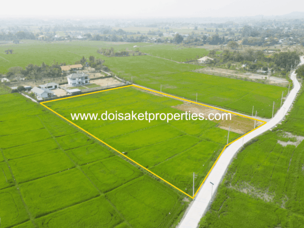 Doi Saket-DSP-(LS407-06) Scenic ~6 Rai Plot of Land with Expansive Rice Fields