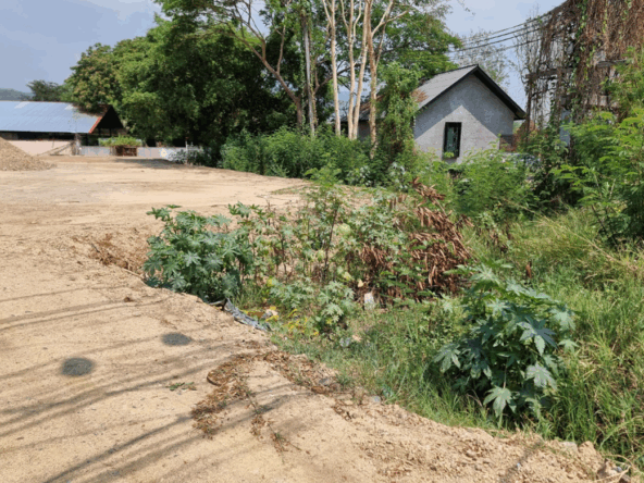 Land for rent