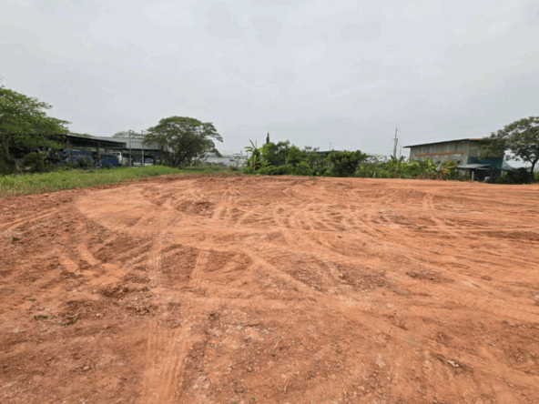 Land for Rent – 2 Rai – Near Wat Buak Khok Nuea Chiang Mai (ID:257LR)-MR-257LR