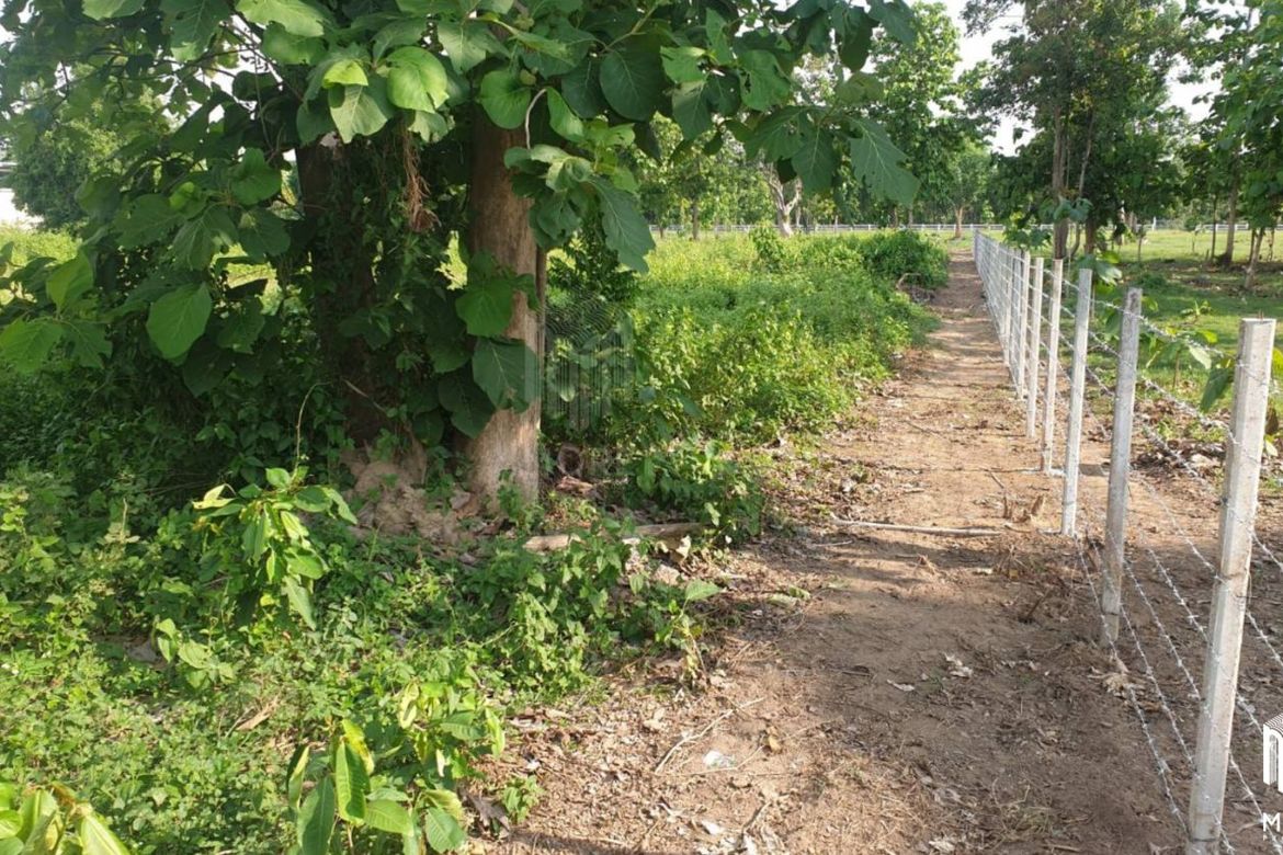 Property id178ls Land for sale in Hangdong 10 -0 27 Rai  near Grand Canyon Water Park-MR-178LS