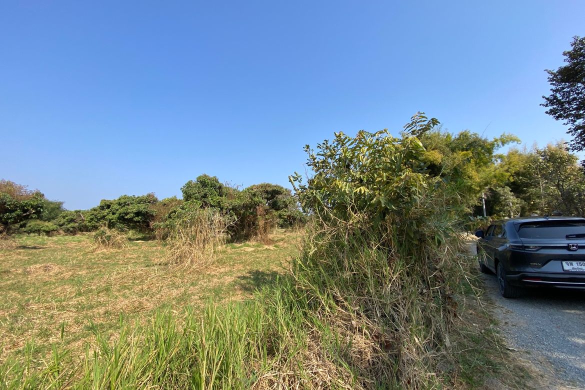 Land for Sale in Nam Phrae
