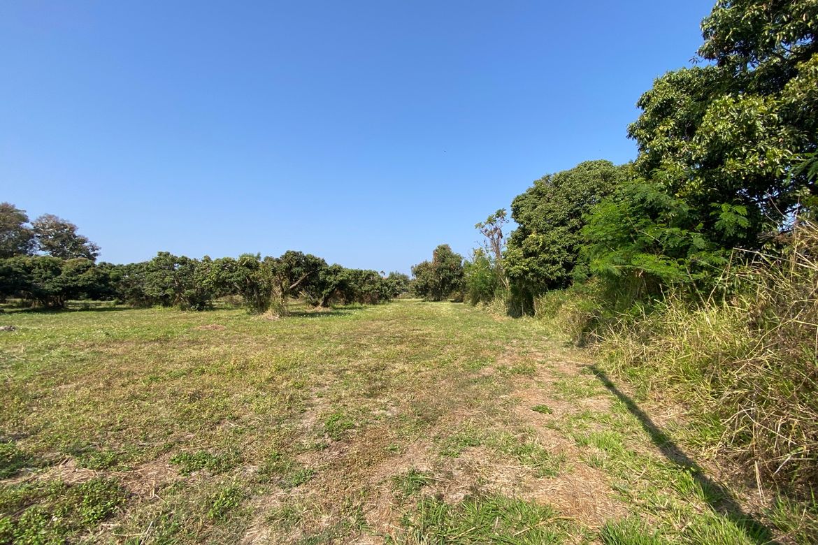 Land for Sale in Nam Phrae