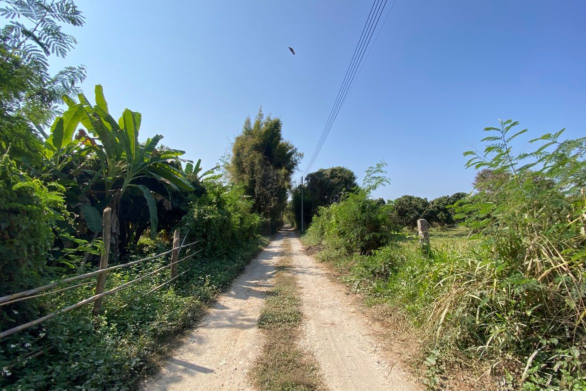 Chiang Mai-P-PLS1085