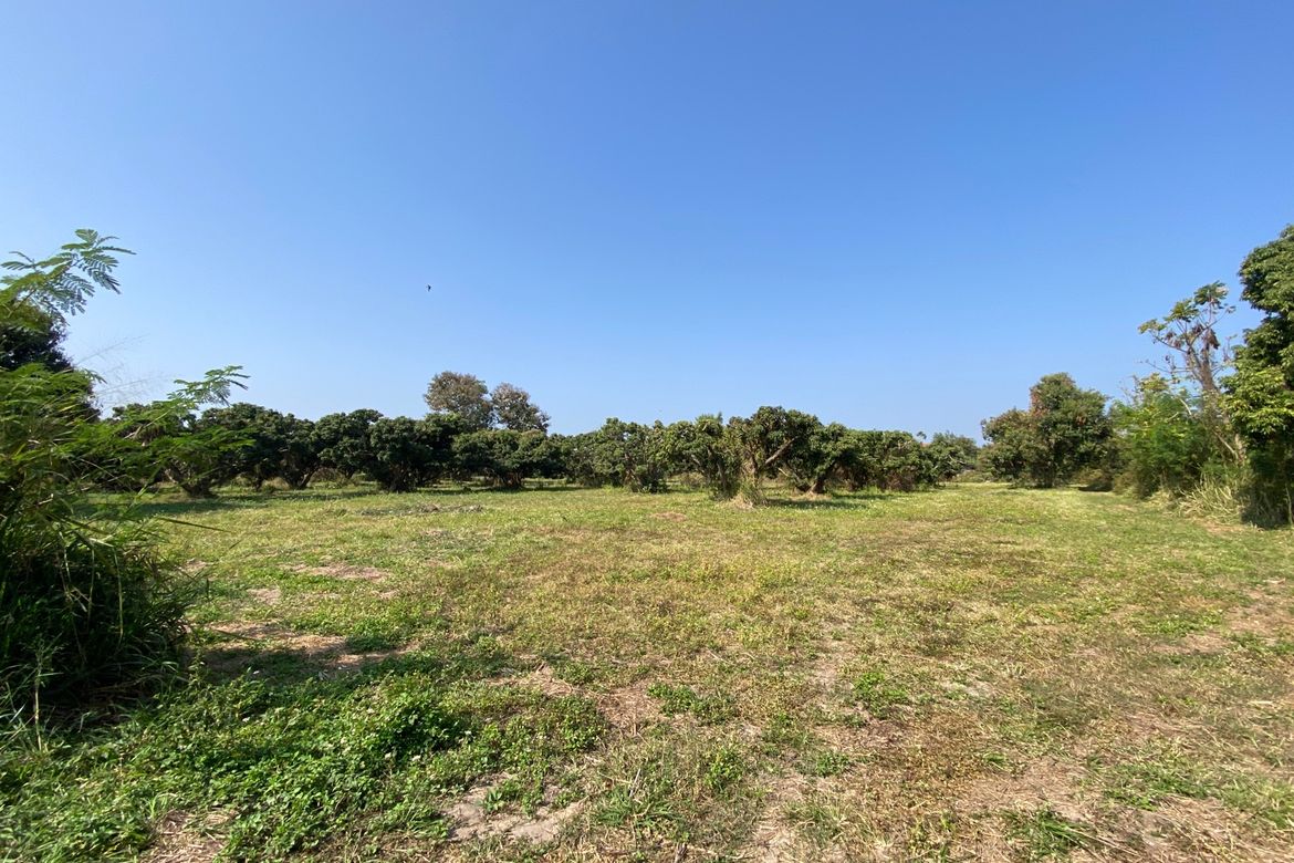 Land for Sale in Nam Phrae