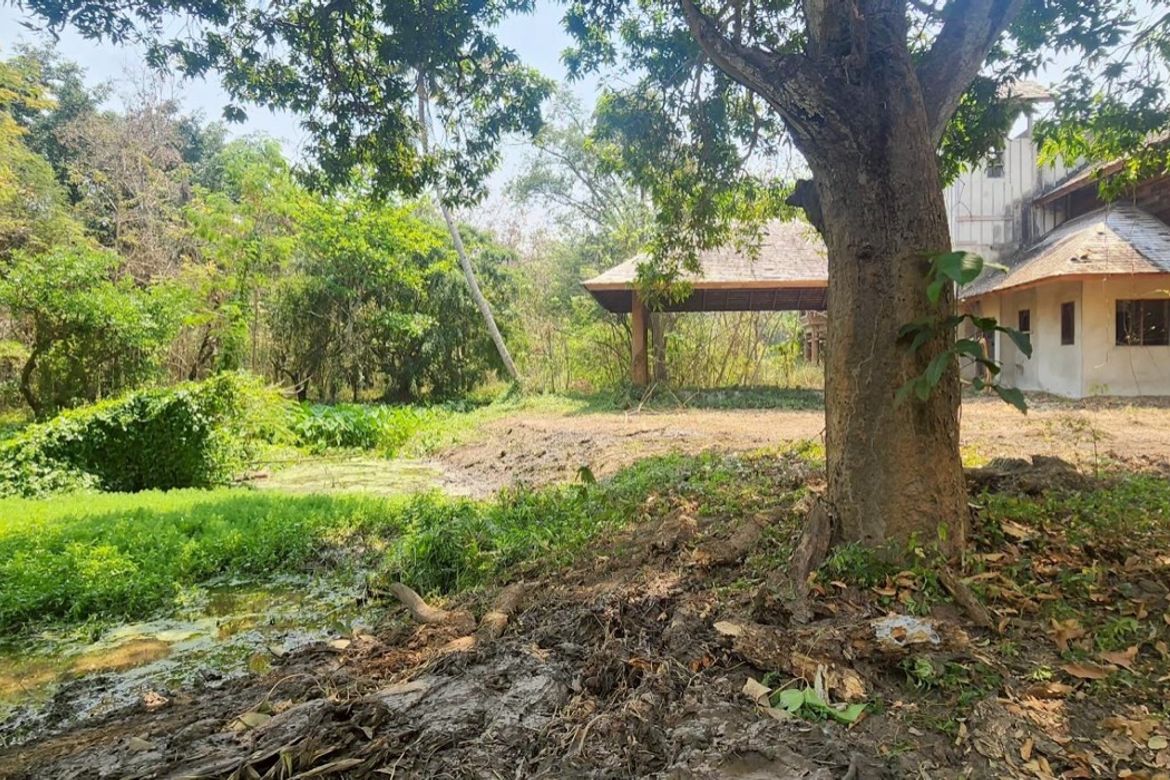 Chiang Mai-P-PLS1105