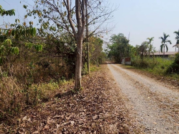 Chiang Mai-P-PLS1106