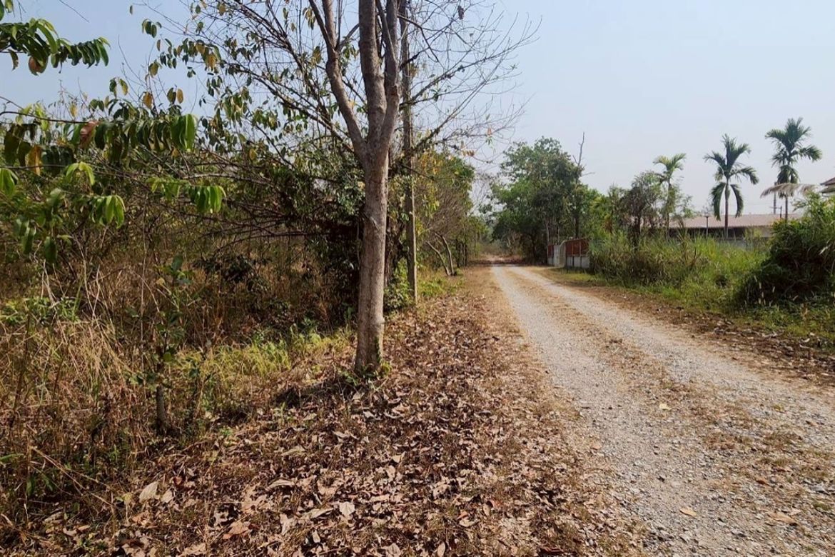 Chiang Mai-P-PLS1106