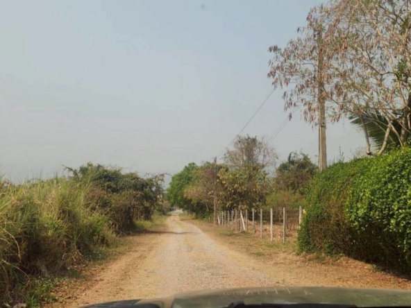 Land for sale in Mae Rim