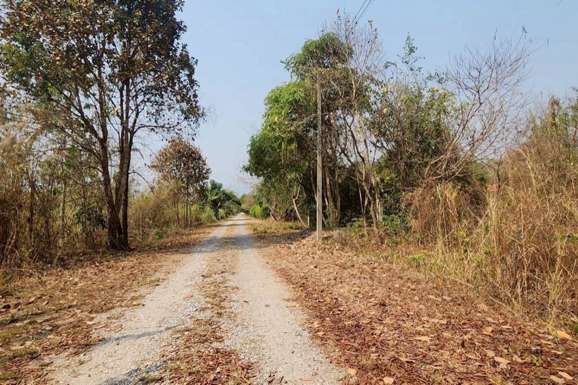 Land for sale in Mae Rim