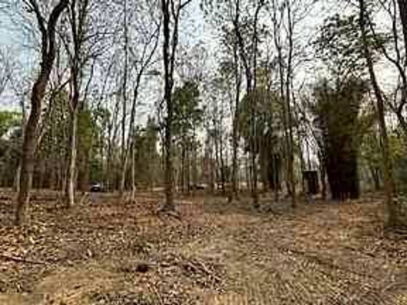 Beautiful plot near Four Seasons Hotel for sale