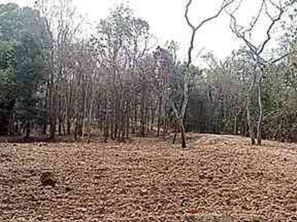 Beautiful plot near Four Seasons Hotel for sale