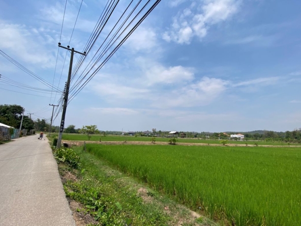 Chiang Mai-P-PLS1110