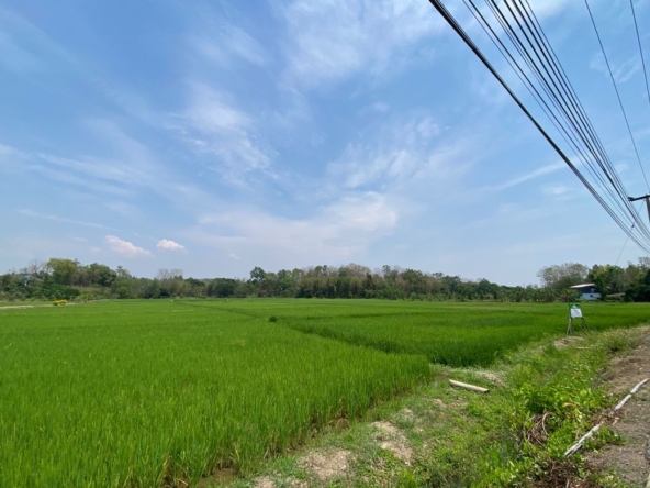 Big plot of land for sale near Prem International School