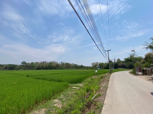 Chiang Mai-P-PLS1110