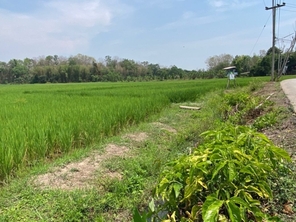 Big plot of land for sale near Prem International School