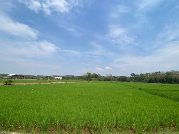 Big plot of land for sale near Prem International School