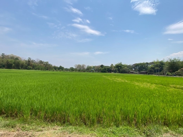 Big plot of land for sale near Prem International School