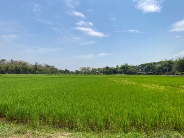 Big plot of land for sale near Prem International School