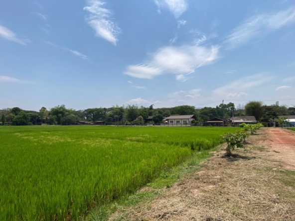 Chiang Mai-P-PLS1110