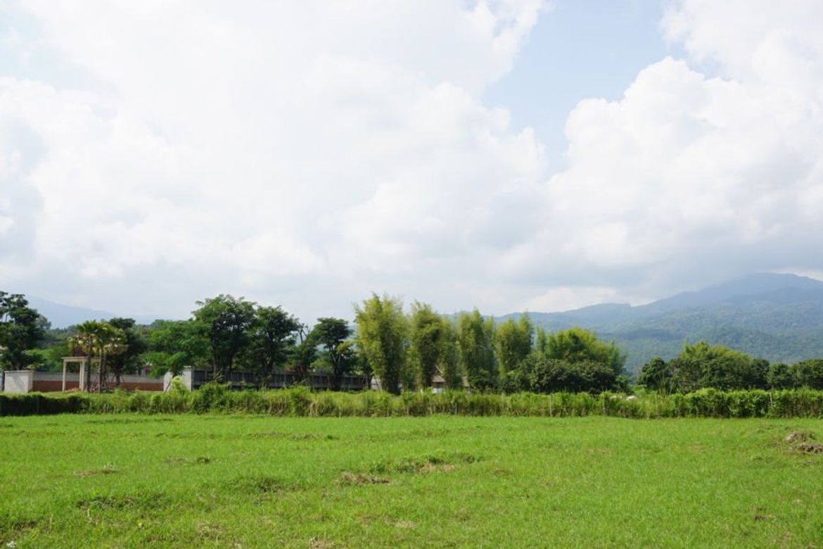 Large plot of land with mountain views for sale in Mae Rim