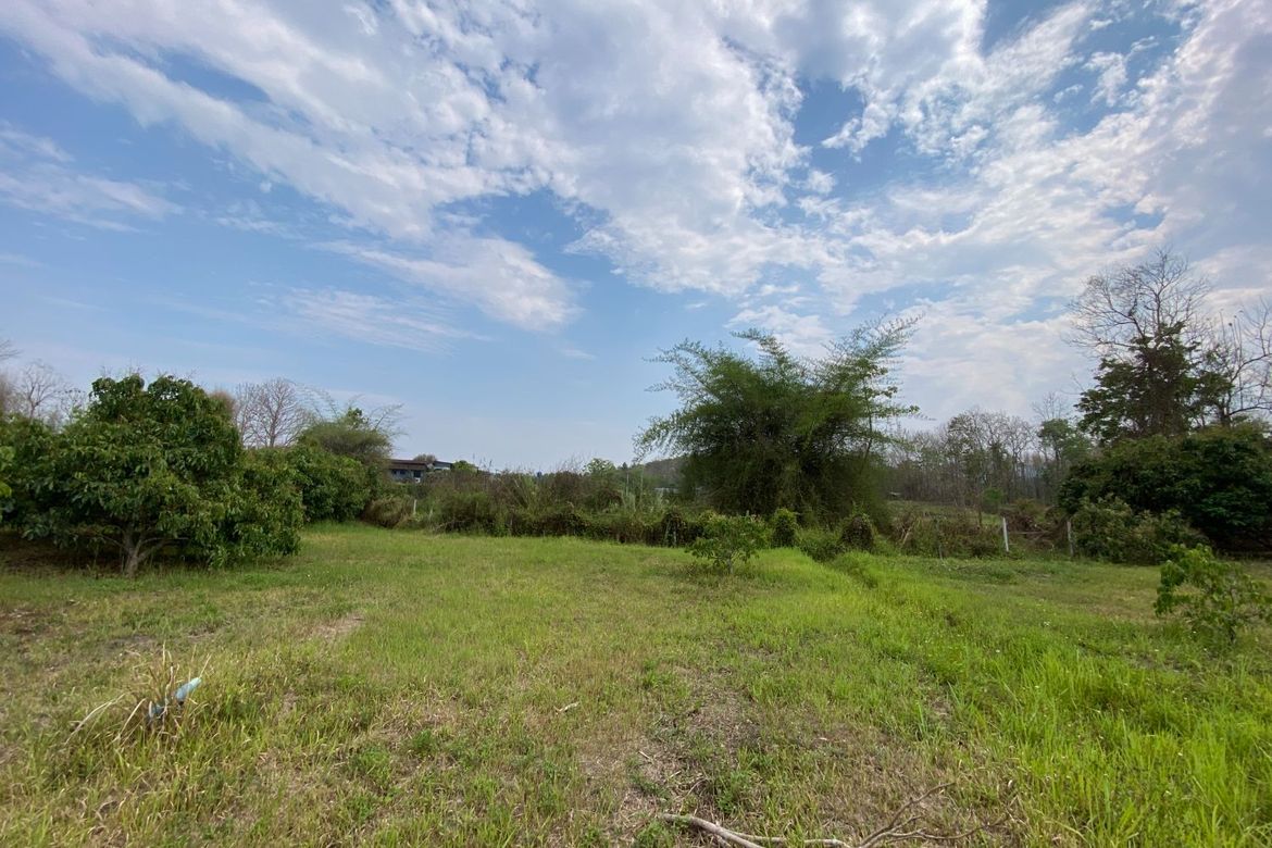 Nice plot of land for sale in Mae Rim near Prem International School