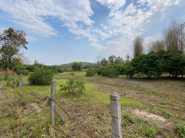 Nice plot of land for sale in Mae Rim near Prem International School