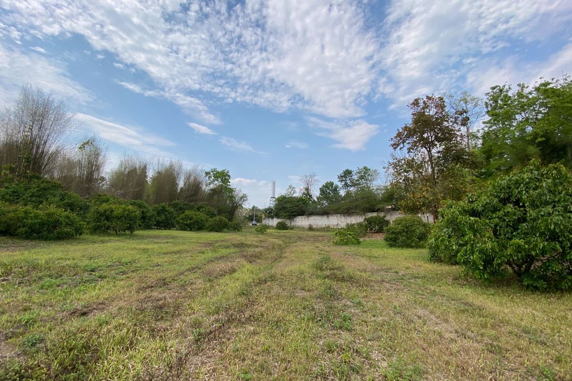 Nice plot of land for sale in Mae Rim near Prem International School