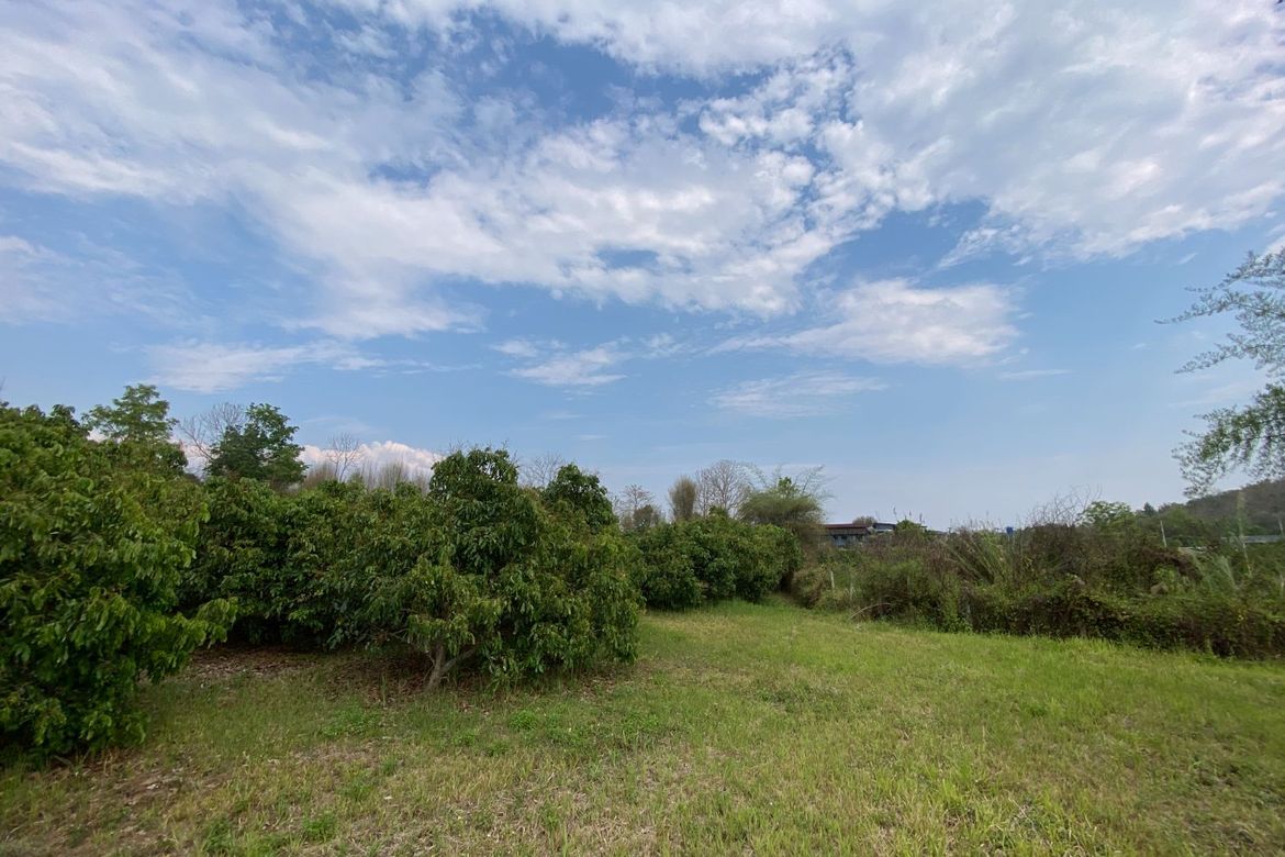 Nice plot of land for sale in Mae Rim near Prem International School