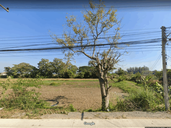 Property id024ls Land for sale in San Khum Phaeng 14-3-82 Rai  near Buak Khang Municipality-MR-024ls