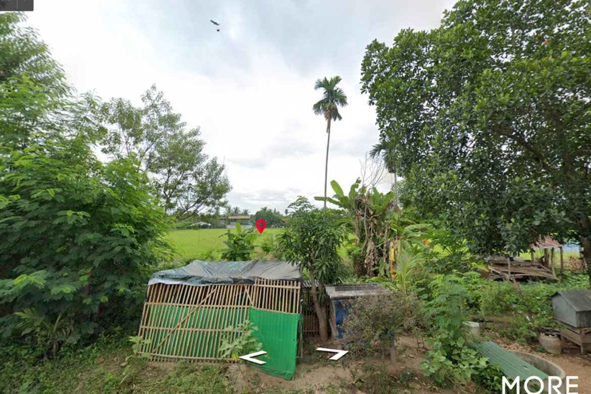 Near San Sai District Office (ID: 254LS)-MR-254LS