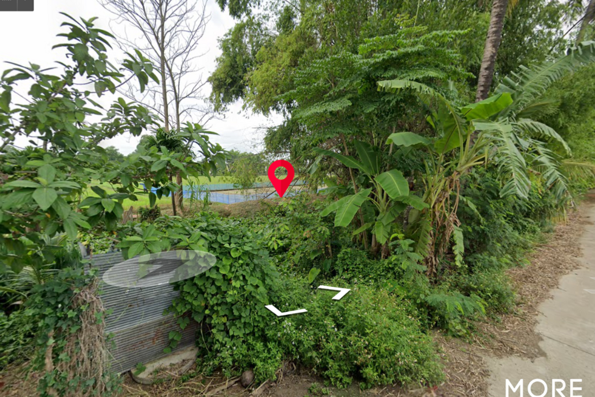 Land for Sale in San Sai