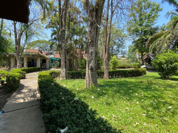 6 bed pool villa by Ping River for sale in Chiang Mai-P-PHS1116