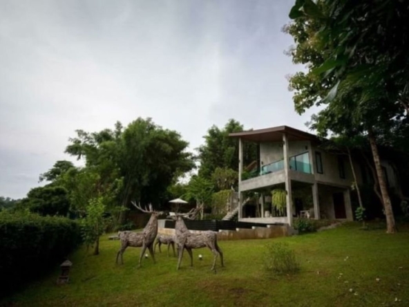 Chiang Mai. Thailand.-CMB-CMB04353