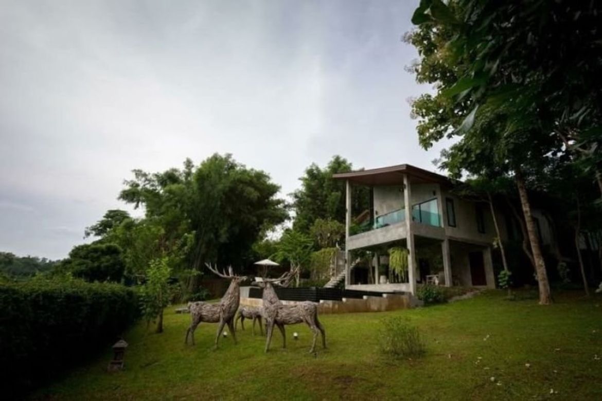 Chiang Mai. Thailand.-CMB-CMB04353