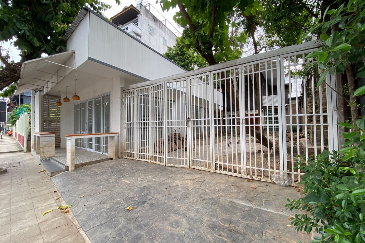 Chiang Mai-P-PCCR1146