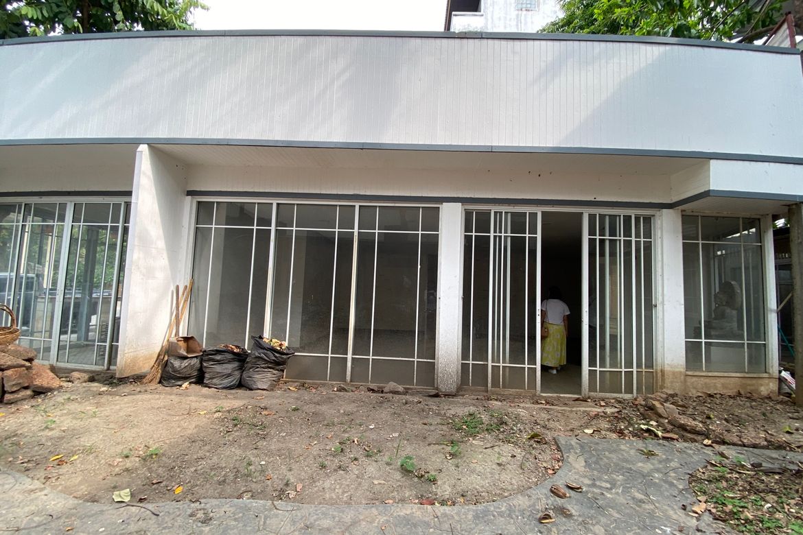 Chiang Mai-P-PCCR1146