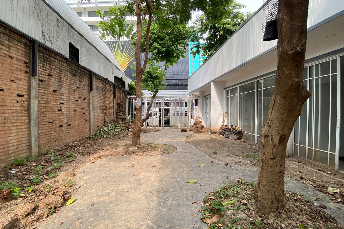 Chiang Mai-P-PCCR1146