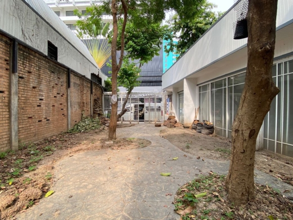 Chiang Mai-P-PCR1146