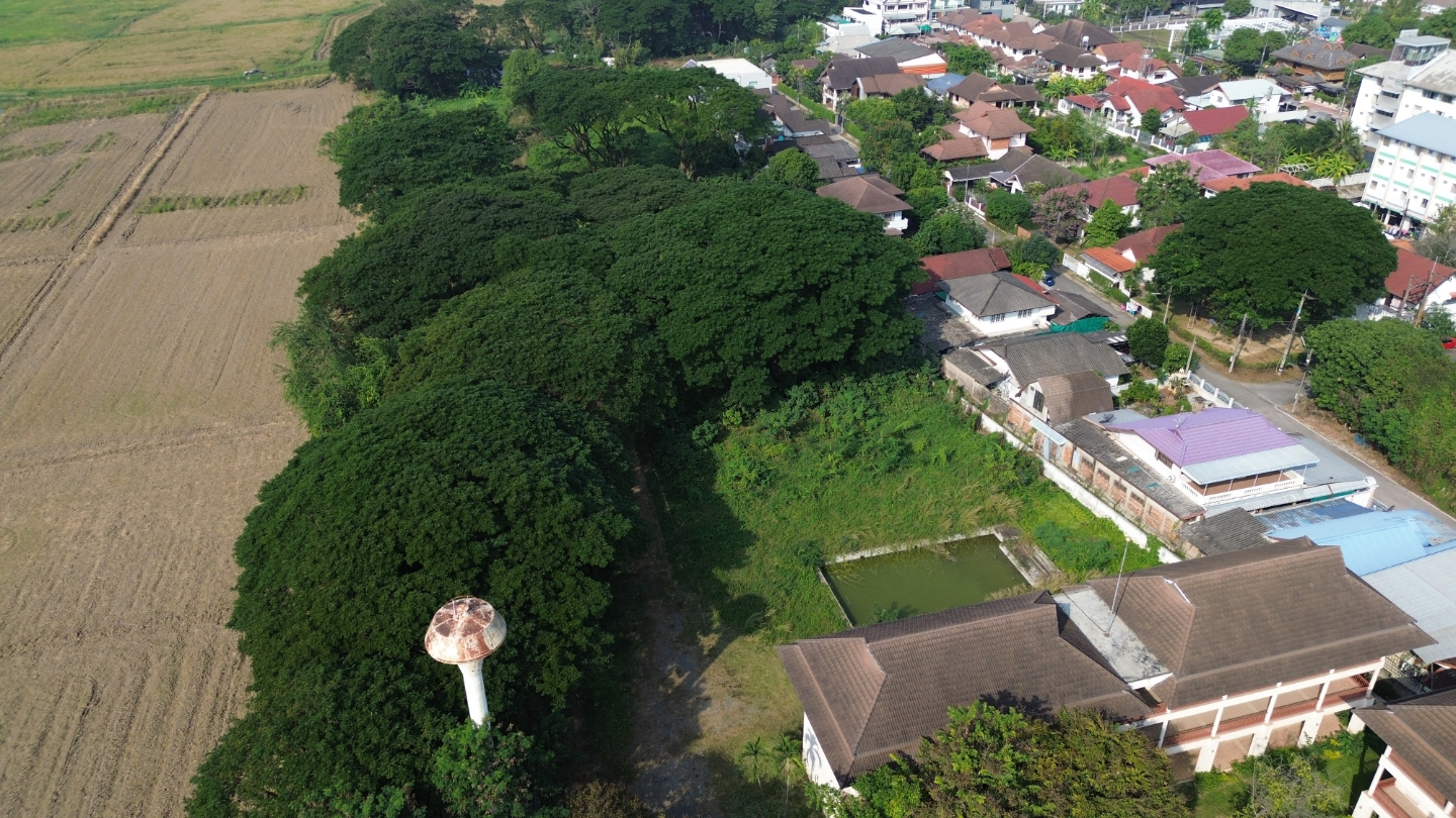 Chiang Mai Properties – 96-Unit Apartment Complex for Sale-CMP-376
