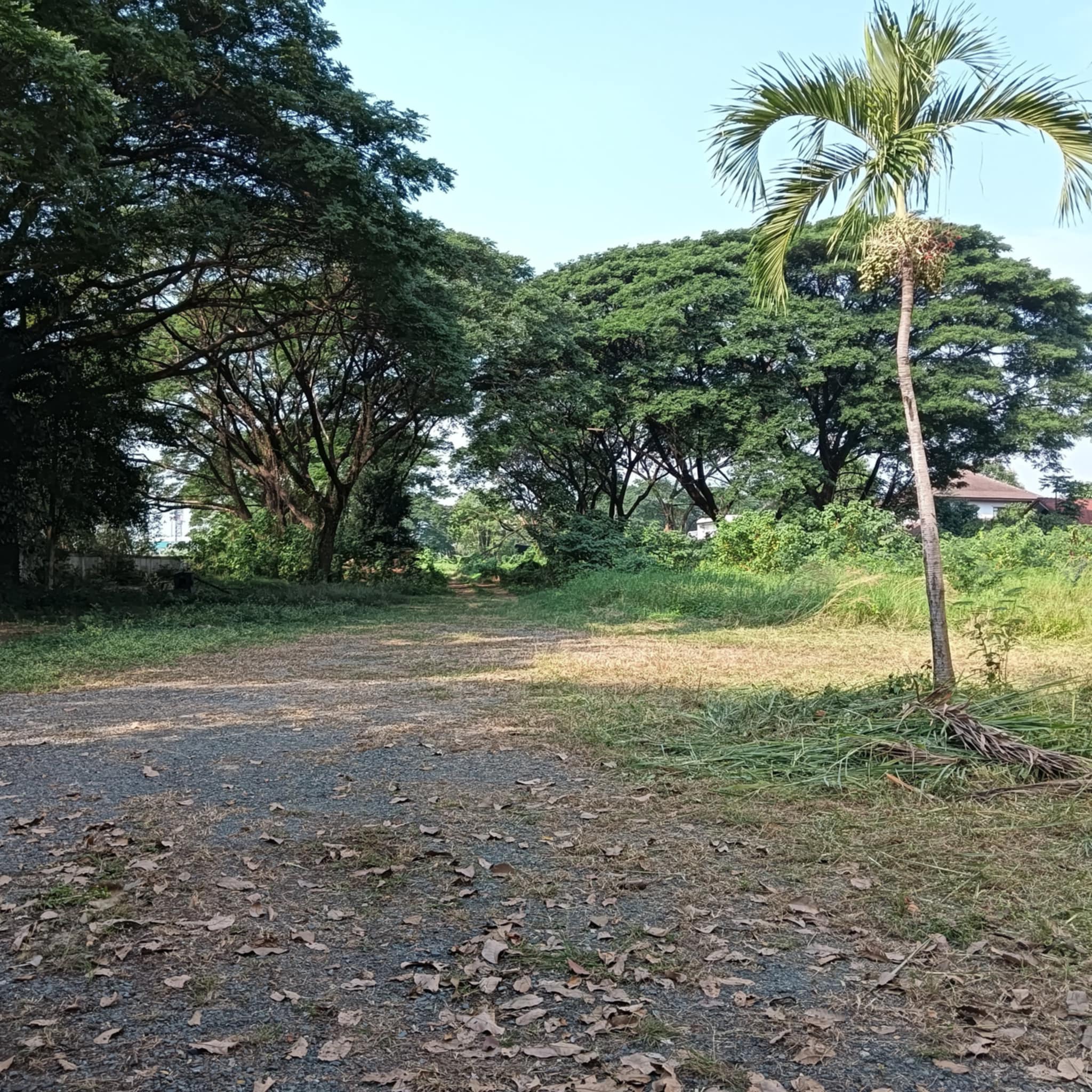Chiang Mai Properties – 96-Unit Apartment Complex for Sale-CMP-376