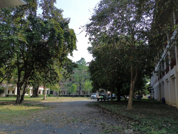Chiang Mai Properties – 96-Unit Apartment Complex for Sale-CMP-376