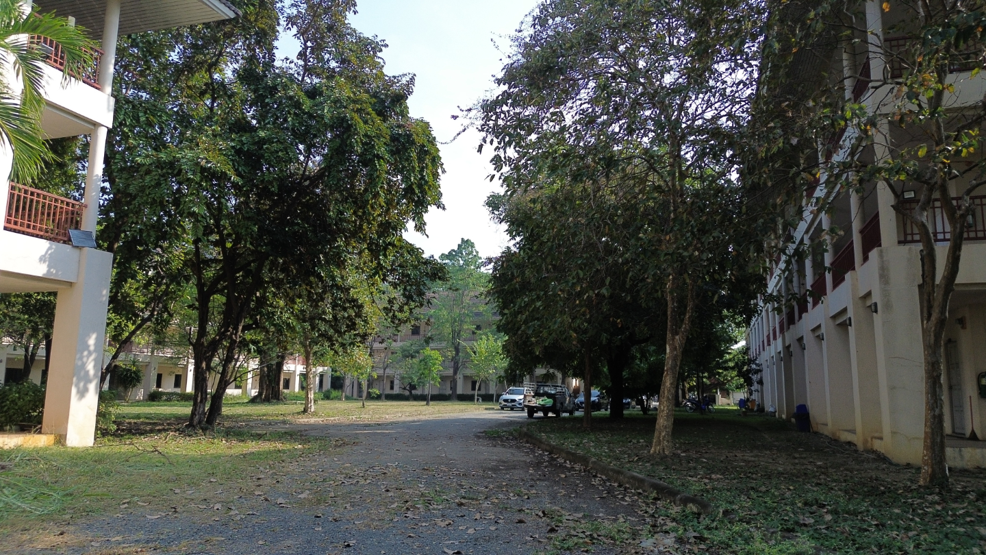 Chiang Mai Properties – 96-Unit Apartment Complex for Sale-CMP-376